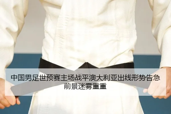 zhong-guo-nan-zu-shi-yu-sai-zhu-chang-zhan-ping-ao-da-li-ya-chu-xian-xing-shi-gao-ji-qian-jing-mi-wu-chong-chong-2-407.jpg